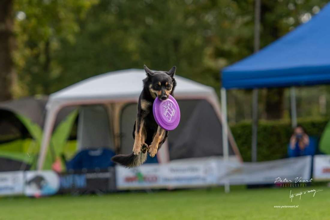 Casper Kelpiebrink Casper Kelpiebrink